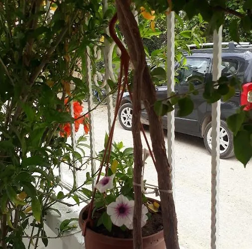 Stella * Fethiye