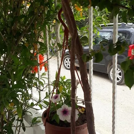 Stella City * Fethiye