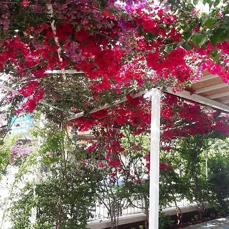 Stella City * Fethiye